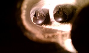Carbon Cleaning "After" Carbon Cleaning "After"